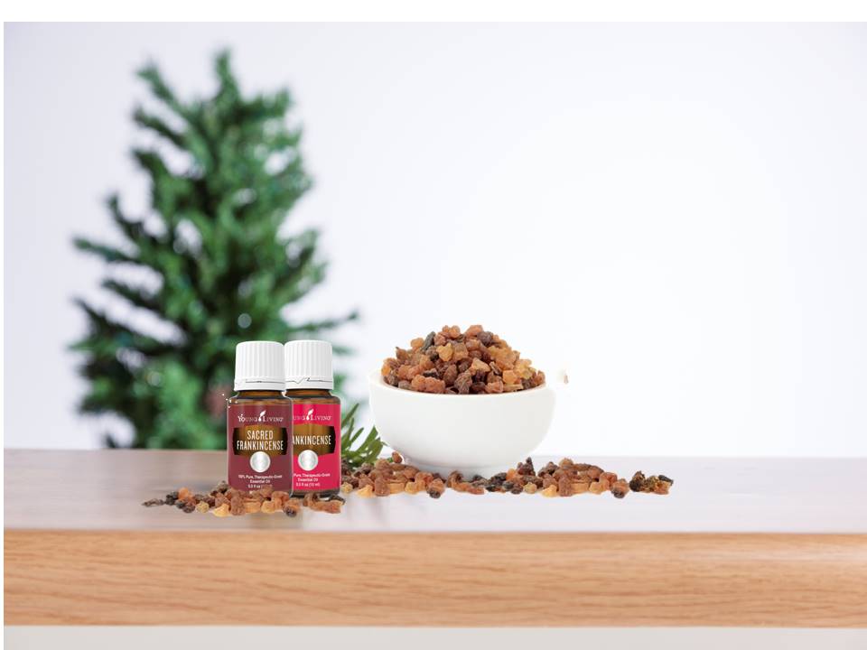 Antioxidant, Antimicrobial, and AntiInsect Properties of Boswellia